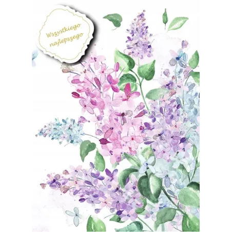 KARNET OKOLICZNOŚCIOWY WSZYSTKIEGO NAJLEPSZEGO Z DOWIESZKĄ BEZ NAPISU B6