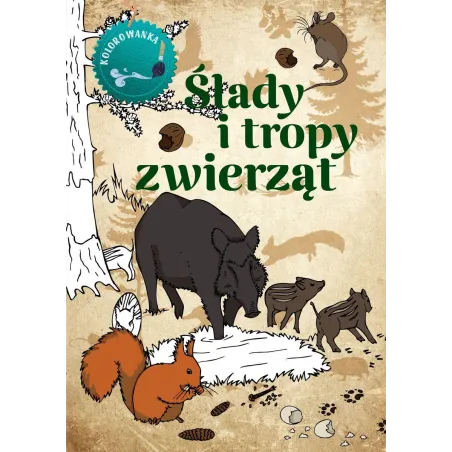 Ślady I Tropy Zwierząt. Kolorowanka