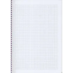 Kołonotatnik Na Spirali W Kratkę 80 Kartek B5