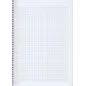 Kołonotatnik Na Spirali W Kratkę 80 Kartek B5