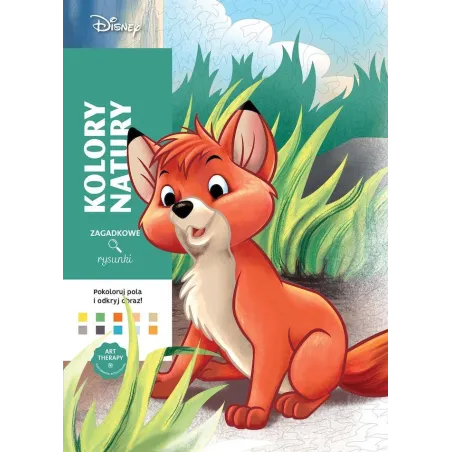 Disney Kolory Natury. Art Therapy. Kolorowanka Antystresowa. Zagadkowe Rysunki