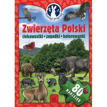 Zwierzęta Polski. Ciekawostki, Zagadki, Kolorowanki