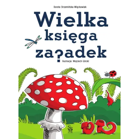 Wielka Księga Zagadek