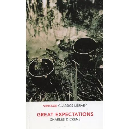Great Expectations