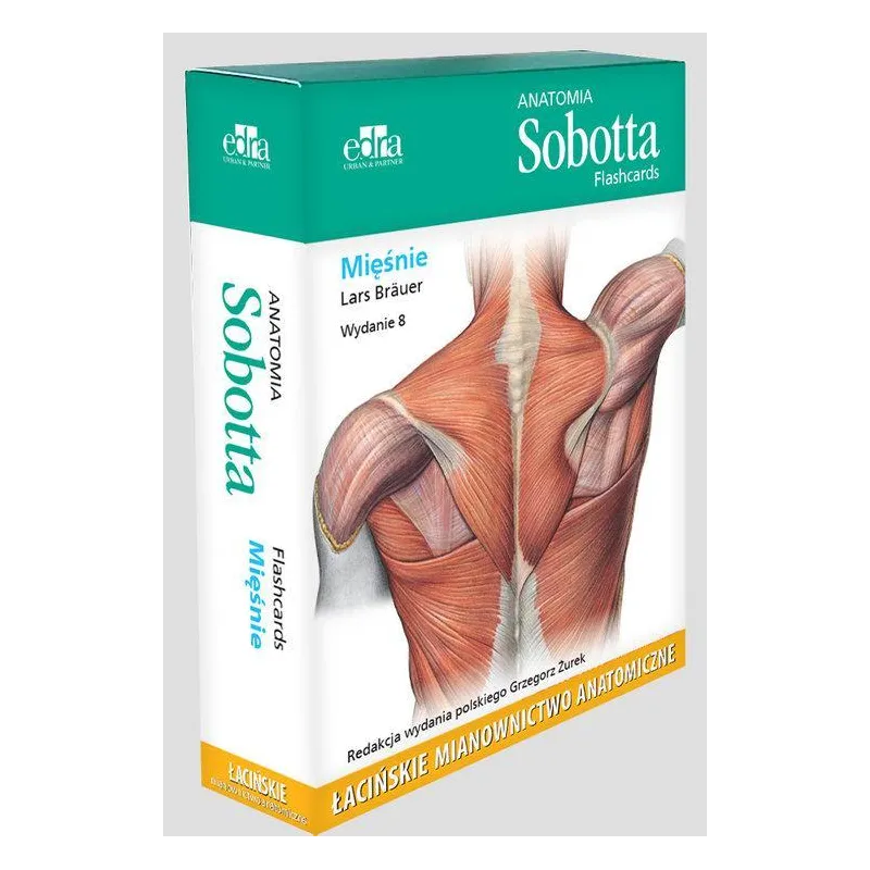 ANATOMIA SOBOTTA FLASHCARDS MIĘŚNIE L. Brauer - Elsevier Urban&Partner