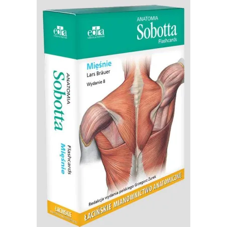 Anatomia Sobotta Flashcards Mięśnie L. Brauer