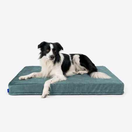 Legowisko Materac Ortopedyczny Dla Psa Petformed 89X55 Cm – Hipoalergiczny, Zmywalny, Nie Zapada Się