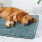 Legowisko Materac Ortopedyczny Dla Psa Petformed 89X55 Cm – Hipoalergiczny, Zmywalny, Nie Zapada Się
