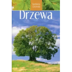 Mark Bachofer, Joachim Mayer