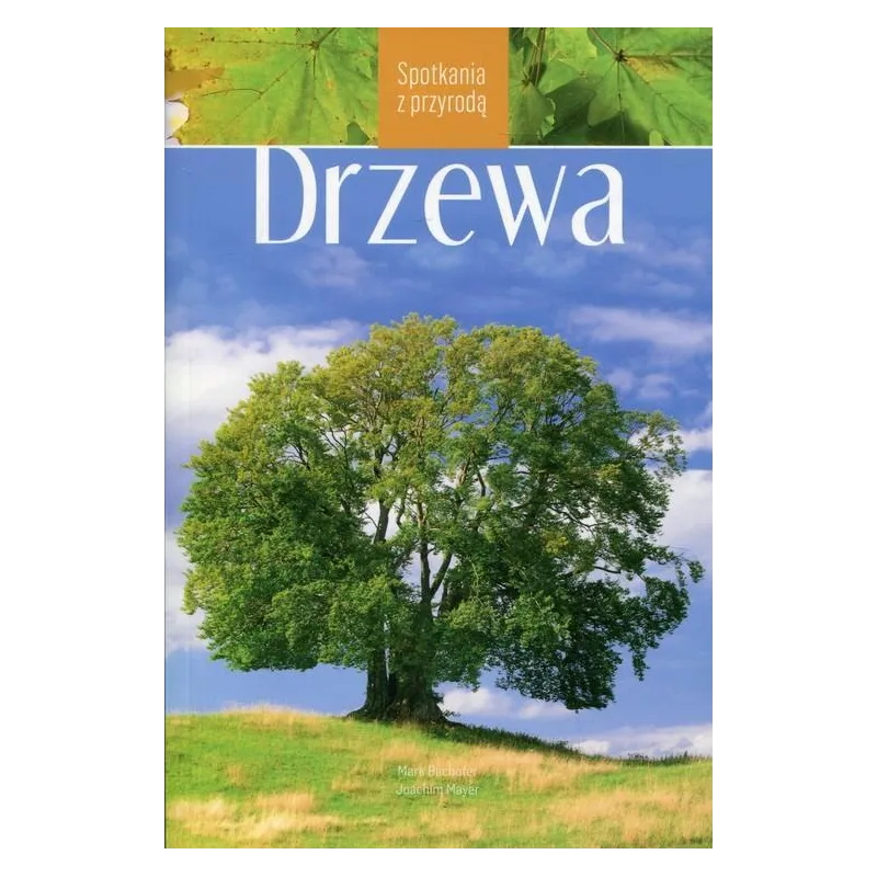 Mark Bachofer, Joachim Mayer