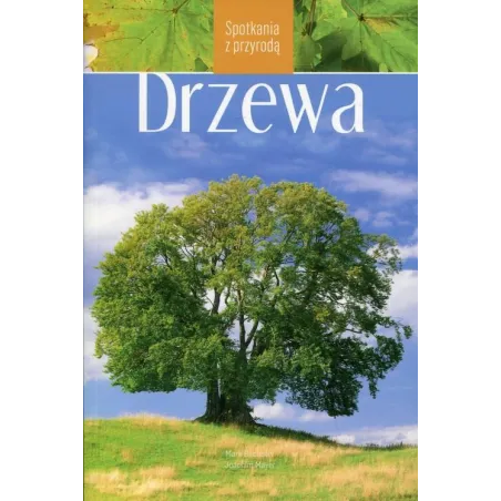 Drzewa. Spotkanie Z Przyrodą