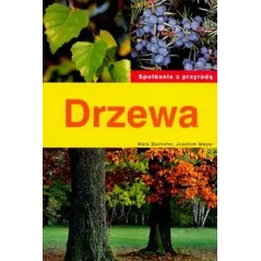 Drzewa. Spotkanie Z Przyrodą