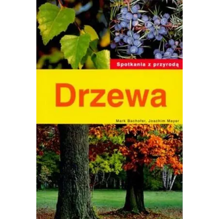 Drzewa. Spotkanie Z Przyrodą