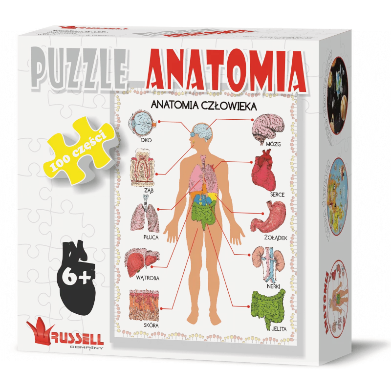 ANATOMIA CZŁOWIEKA PUZZLE 100 ELEMENTÓW 6+