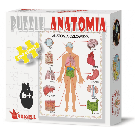 Anatomia Człowieka Puzzle 100 Elementów 6+