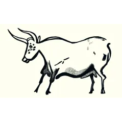 Rogacze I Przeżuwacze Pierwsze Obrazy