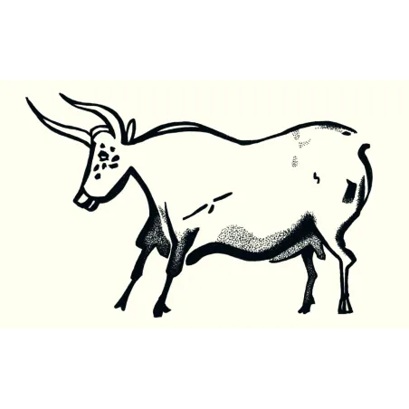 Rogacze I Przeżuwacze Pierwsze Obrazy