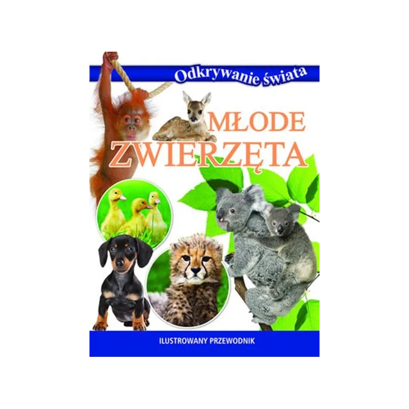 Odkrywanie świata. Młode zwierzęta OT