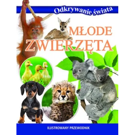 Młode Zwierzęta. Ilustrowany Przewodnik Odkrywanie Świata