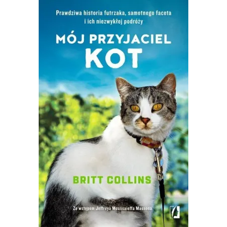MÓJ PRZYJACIEL KOT - Kobiece