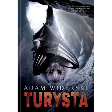 Turysta