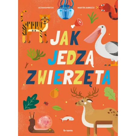 Jak Jedzą Zwierzęta