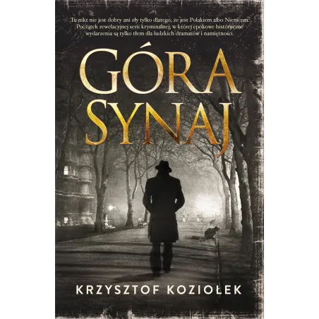 Góra Synaj