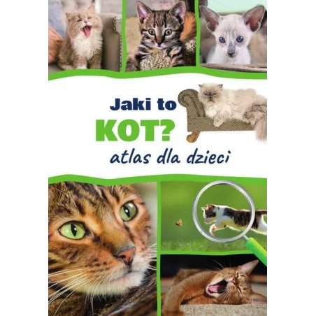 Jaki To Kot?  Atlas Dla Dzieci