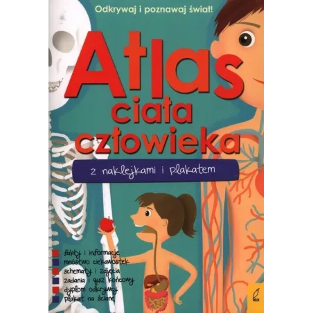 Atlas Ciała Człowieka Z Naklejkami I Plakatem