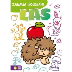 ZABAWA KOLORAMI LAS 4+ - Zielona Sowa