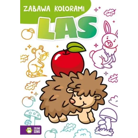 ZABAWA KOLORAMI LAS 4+ - Zielona Sowa