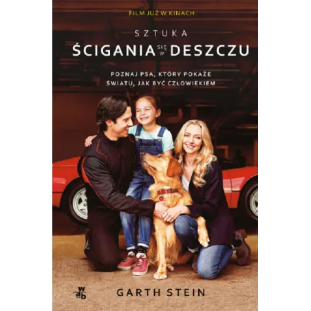 SZTUKA ŚCIGANIA SIĘ W DESZCZU - WAB