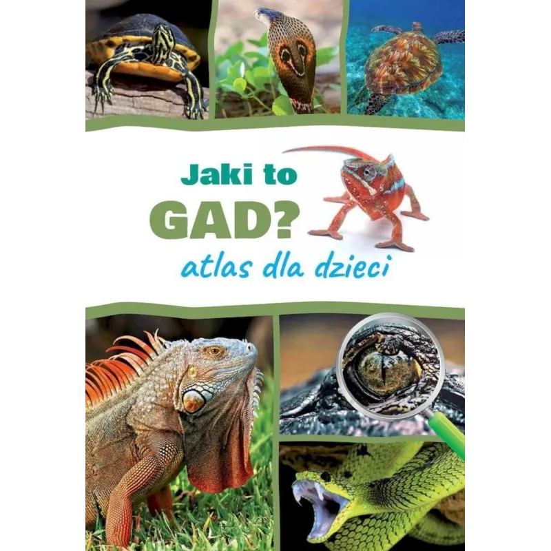 Jaki to gad Atlas dla dzieci Jacek Twardowski