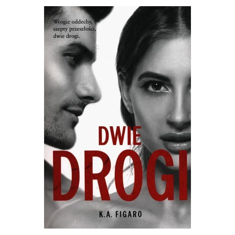 DWIE DROGI K.A. Figaro - Lipstick Books