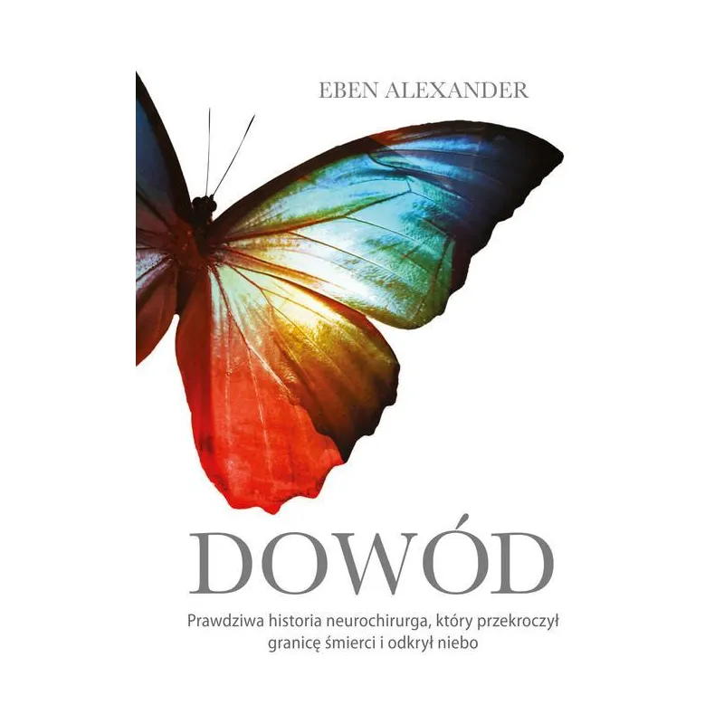 DOWÓD - Między Słowami