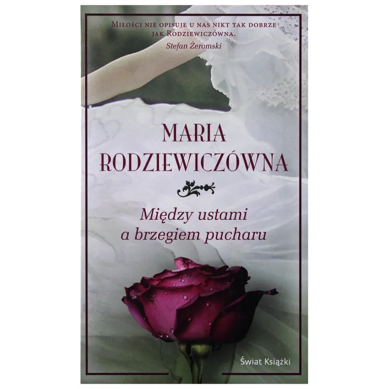 MIĘDZY USTAMI A BRZEGIEM PUCHARU - Świat Książki