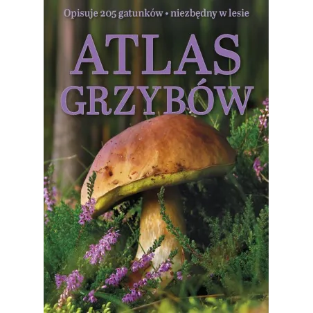 Atlas Grzybów