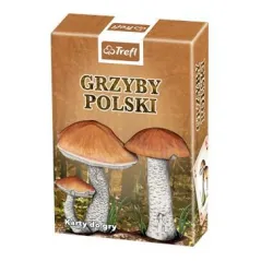 KARTY GRZYBY POLSKI TALIA EDUKACYJNA Z RYSUNKAMI GRZYBÓW