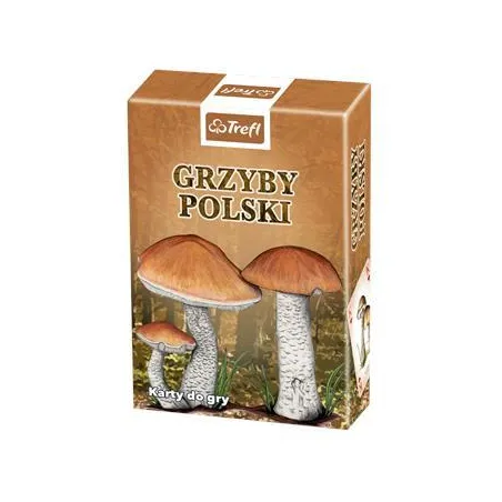 Karty Grzyby Polski Talia Edukacyjna Z Rysunkami Grzybów