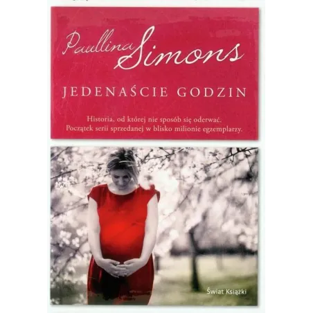 JEDENAŚCIE GODZIN Paullina Simons
