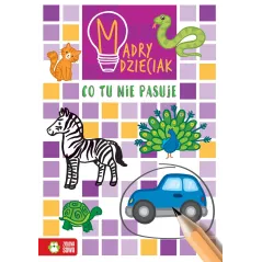 MĄDRY DZIECIAK CO TU NIE PASUJE? 6+ - Zielona Sowa