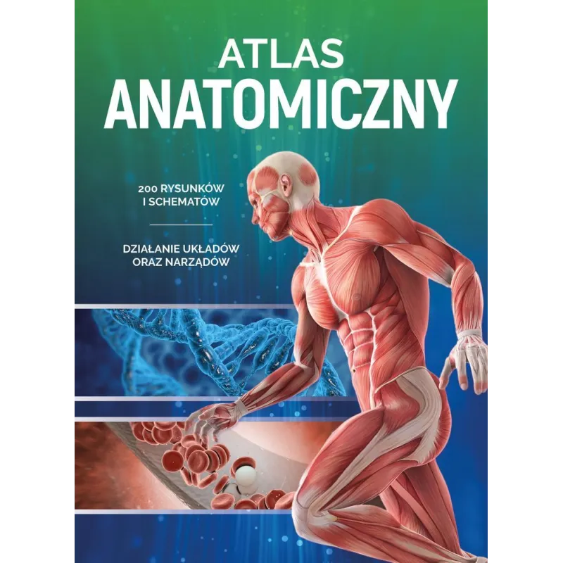 ATLAS ANATOMICZNY. 200 RYSUNKÓW I SCHEMATÓW - SBM