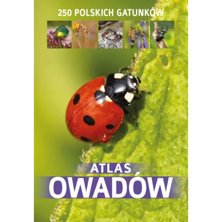 Atlas Owadów