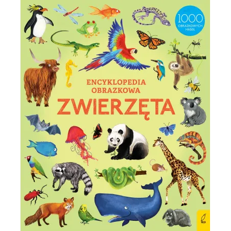 Zwierzęta Encyklopedia Obrazkowa