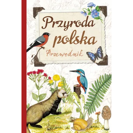 Przyroda Polski Przewodnik