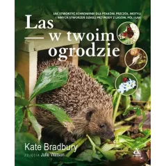 LAS W TWOIM OGRODZIE Kate Bradbury - Amber