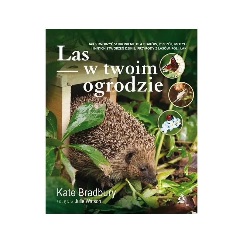 LAS W TWOIM OGRODZIE Kate Bradbury - Amber
