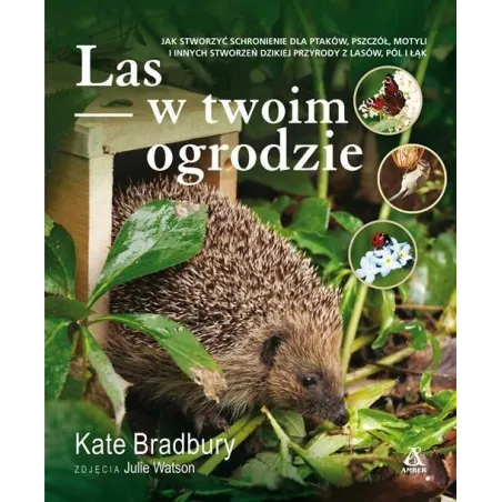 Las W Twoim Ogrodzie Kate Bradbury