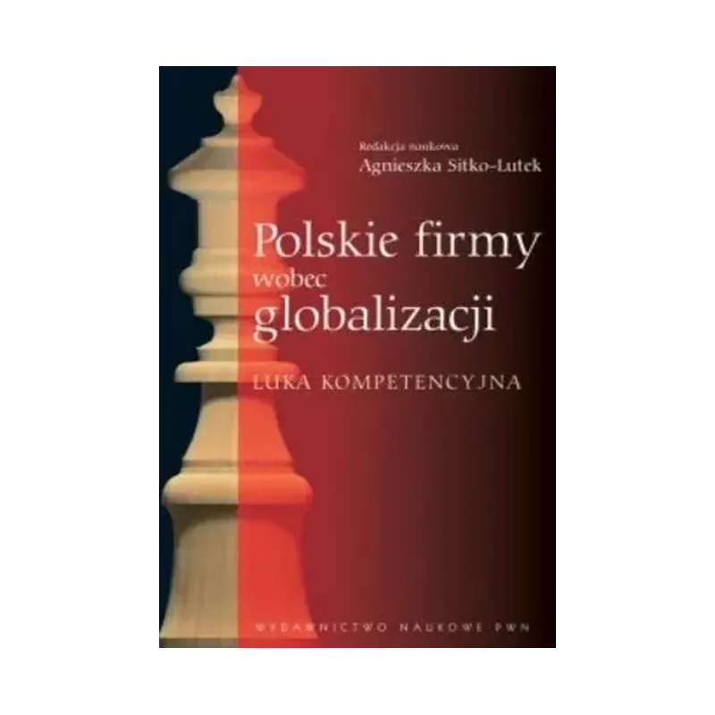 POLSKIE FIRMY WOBEC GLOBALIZACJI. LUKA KOMPETENCYJNA POLSKIE FIRMY WOBEC GLOBALIZACJI. LUKA KOMPETENCYJNA