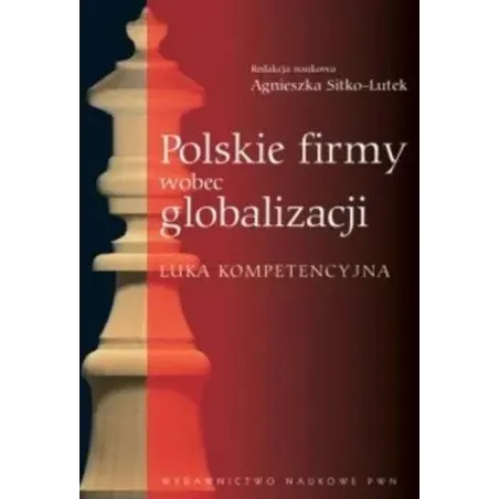 Polskie Firmy Wobec Globalizacji. Luka Kompetencyjna Polskie Firmy Wobec Globalizacji. Luka Kompetencyjna